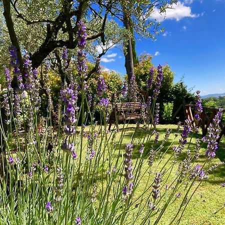Grove Cottage: Immersed In Nature & Close To Town Читта-делла-Пьеве Экстерьер фото
