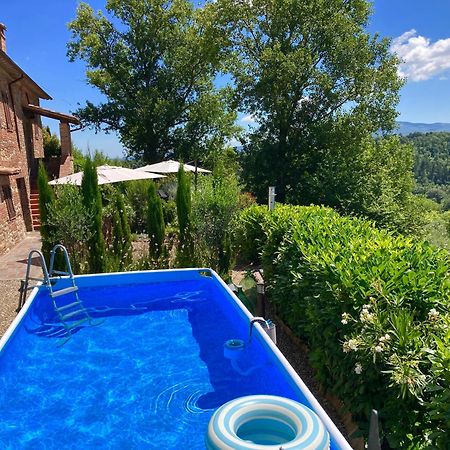Grove Cottage: Immersed In Nature & Close To Town Читта-делла-Пьеве Экстерьер фото