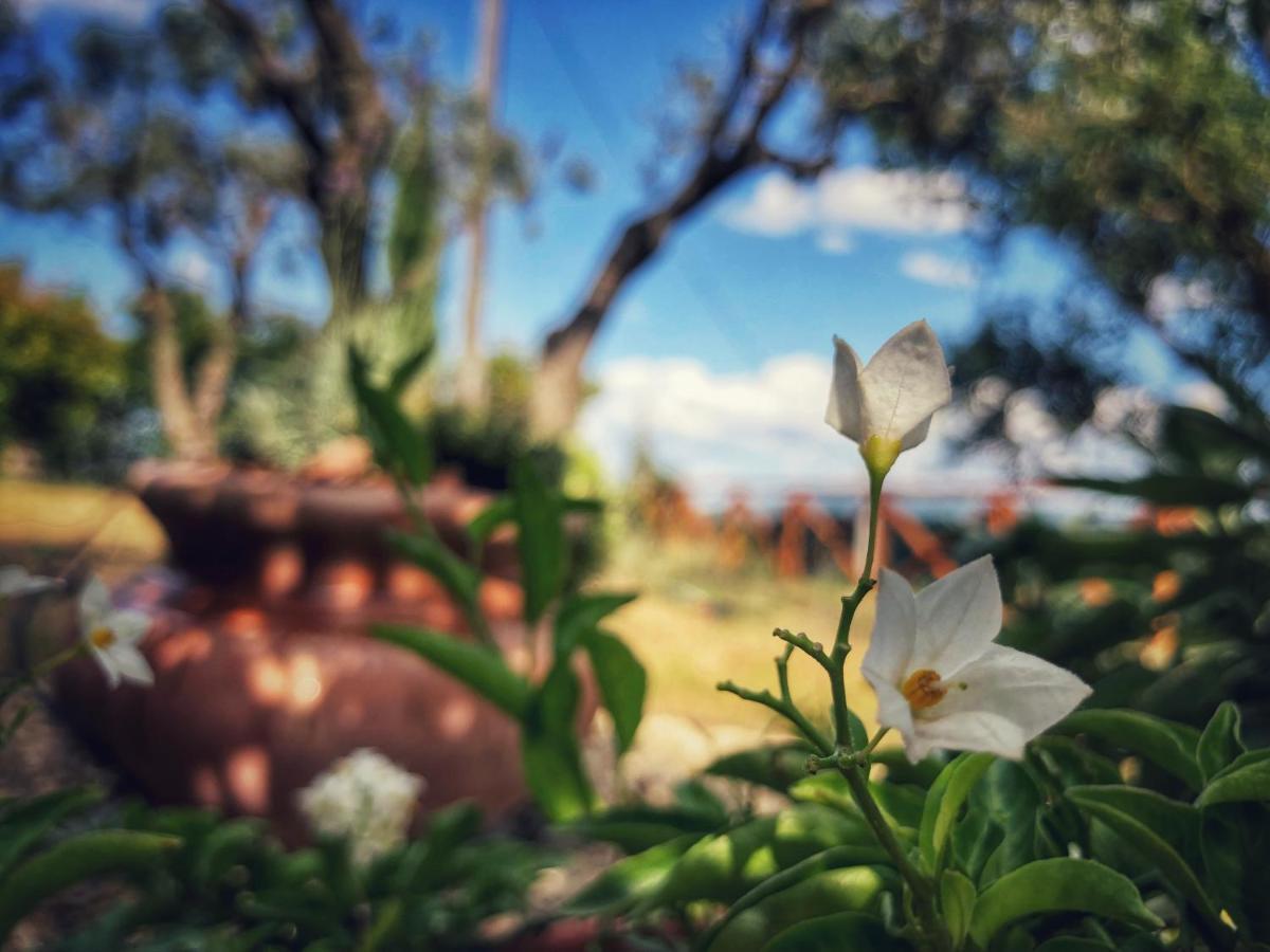 Grove Cottage: Immersed In Nature & Close To Town Читта-делла-Пьеве Экстерьер фото