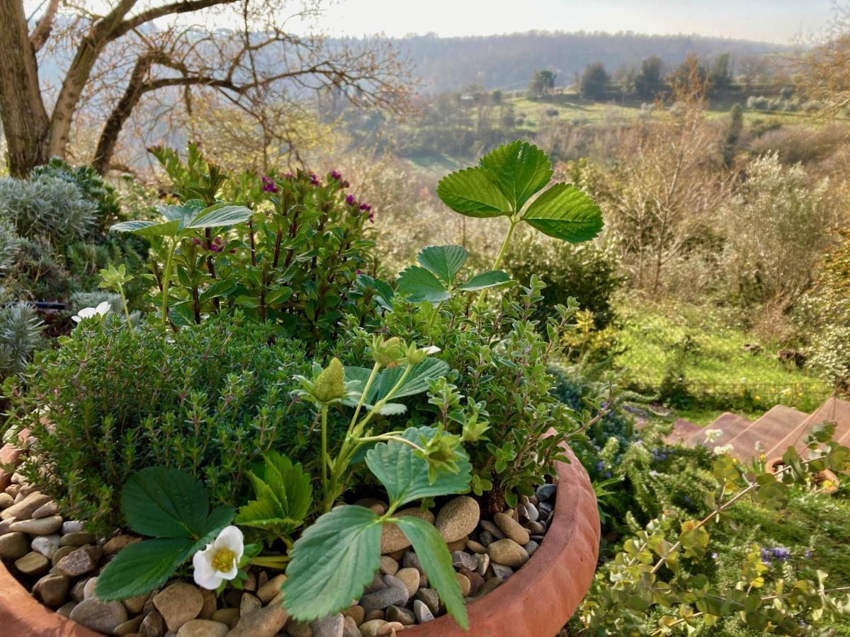 Grove Cottage: Immersed In Nature & Close To Town Читта-делла-Пьеве Экстерьер фото
