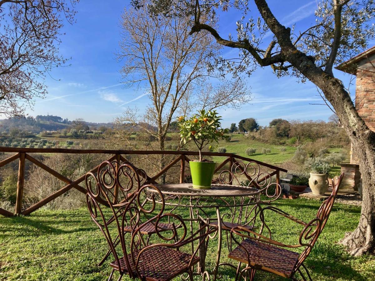 Grove Cottage: Immersed In Nature & Close To Town Читта-делла-Пьеве Экстерьер фото