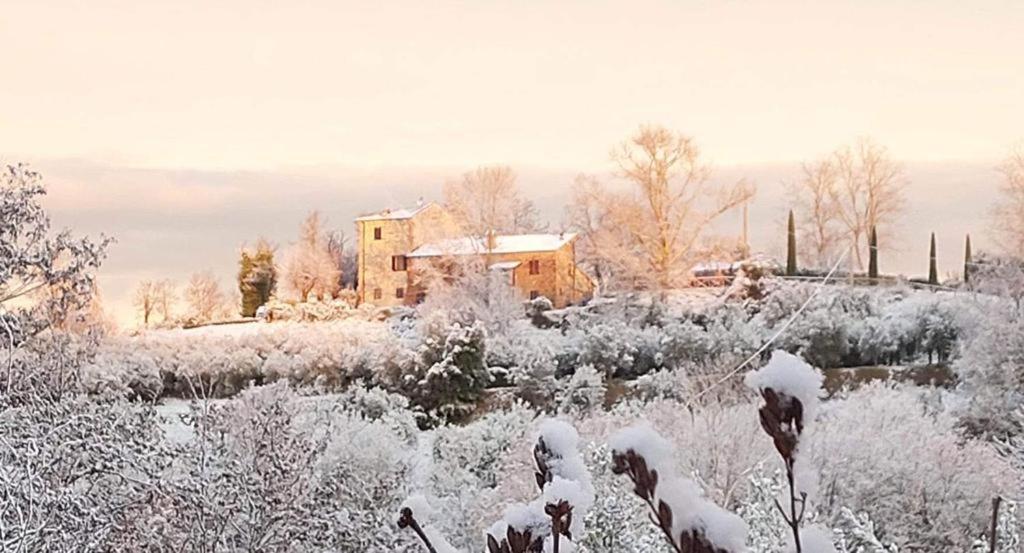Grove Cottage: Immersed In Nature & Close To Town Читта-делла-Пьеве Экстерьер фото
