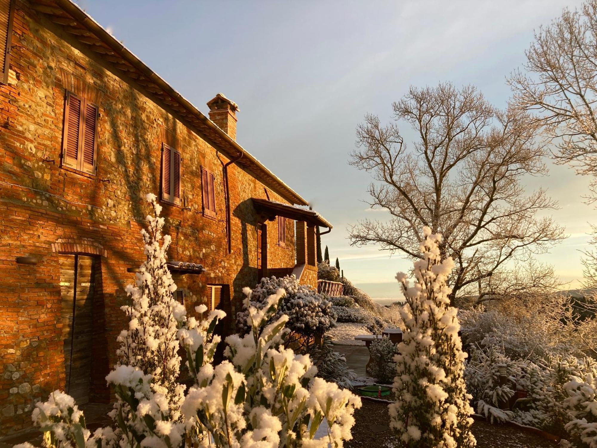 Grove Cottage: Immersed In Nature & Close To Town Читта-делла-Пьеве Экстерьер фото