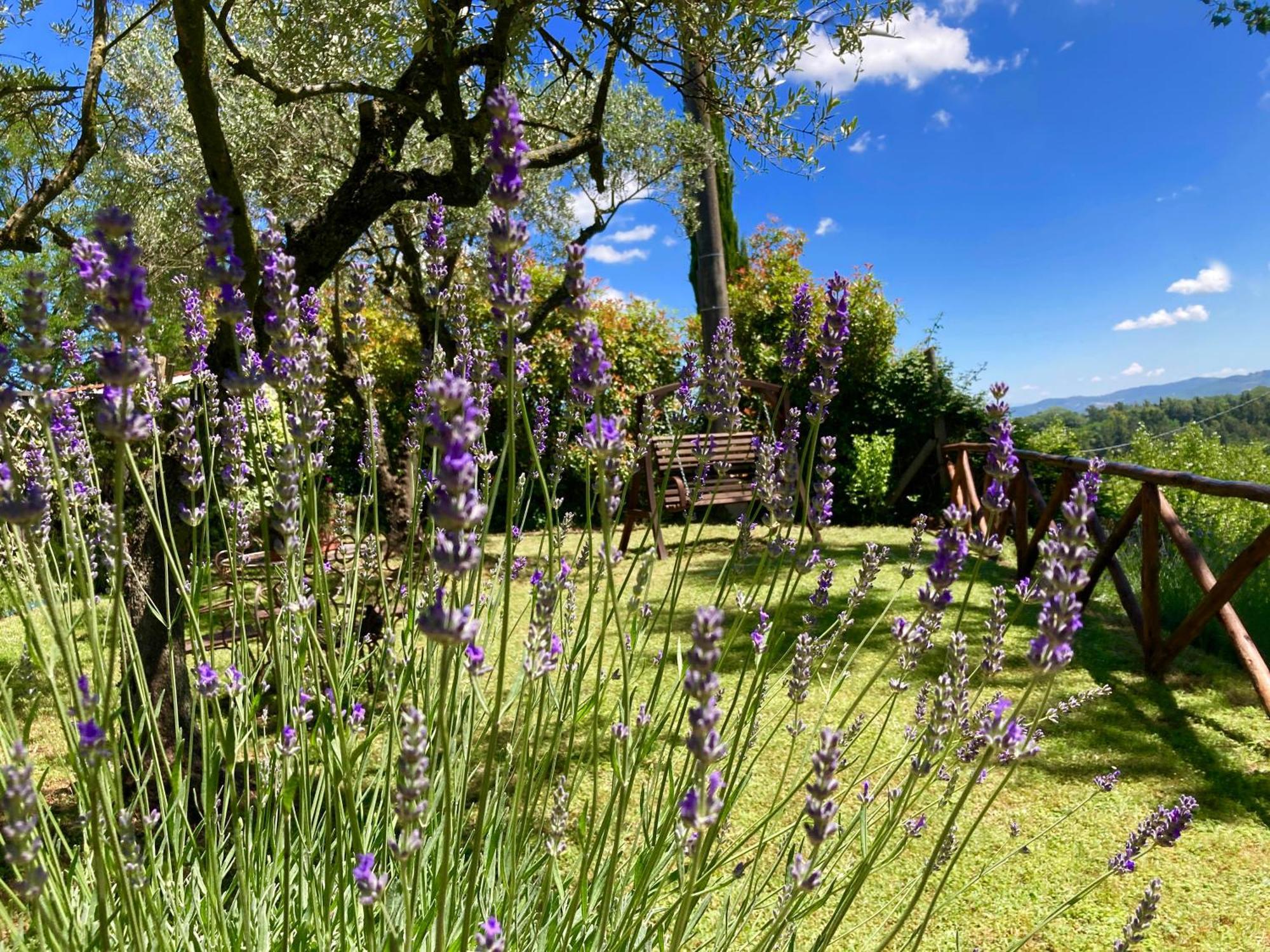 Grove Cottage: Immersed In Nature & Close To Town Читта-делла-Пьеве Экстерьер фото